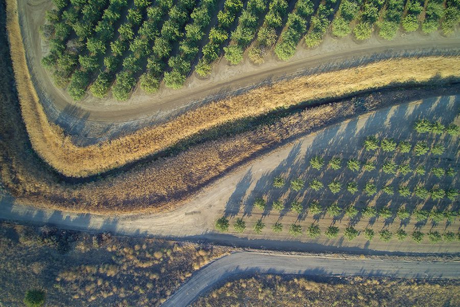 Contact - Aerial View of Almond Orchard Crops in California